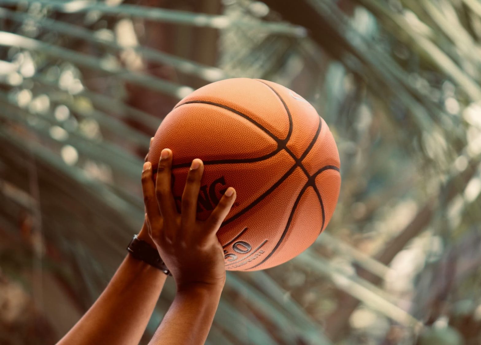 Tools Needed for Live Sports Betting